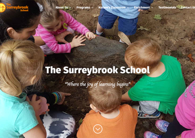 The Surreybrook School Website Design