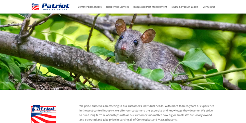 Patriot Pest Solution Web & Logo Design
